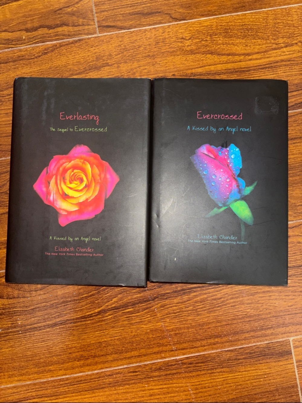 📚2 Book Bundle | Elizabeth Chandler | Evercrossed & Everlasting 💜💙